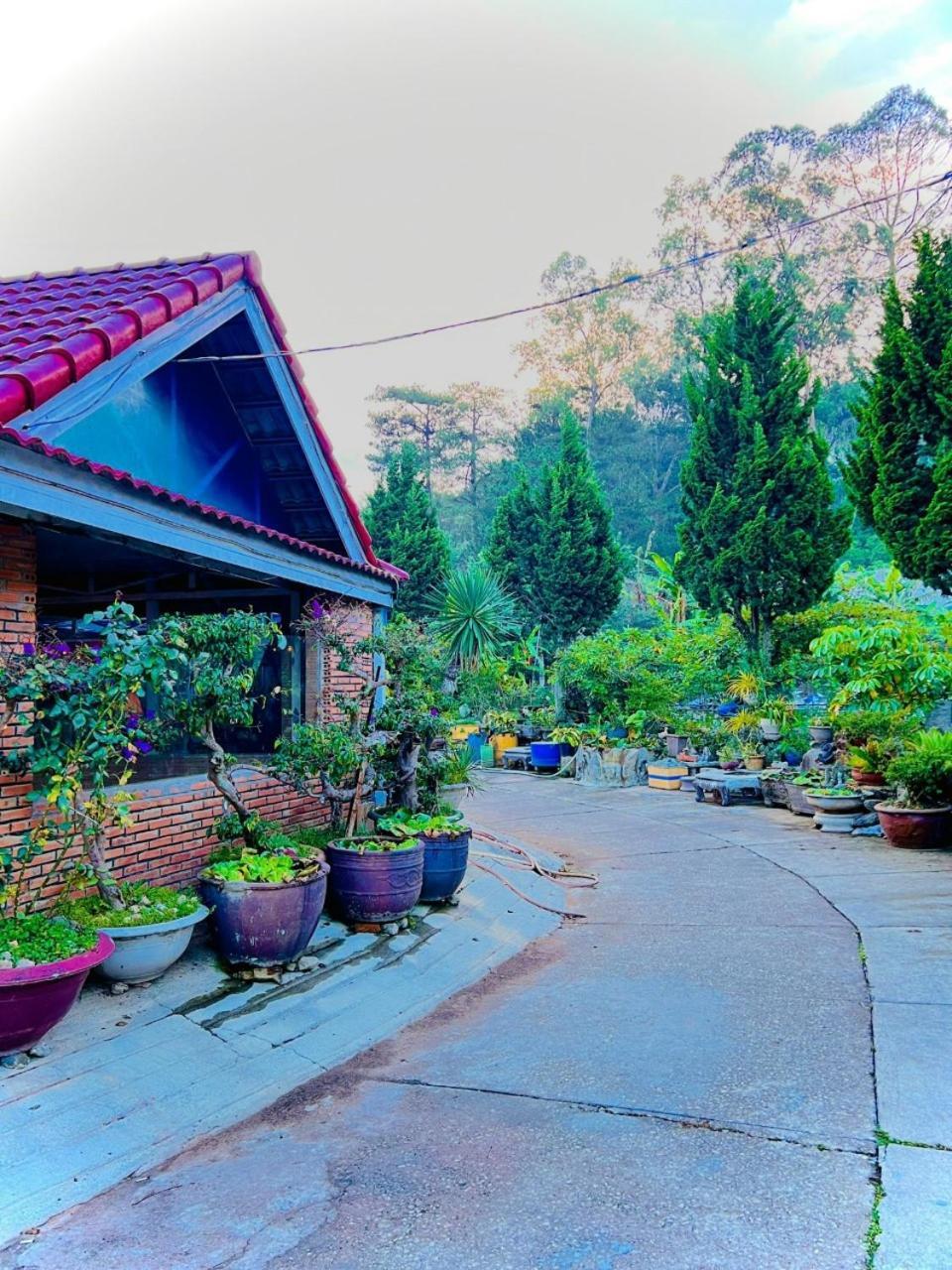 Hoa Chuong - Villa - Homestay Da Lat Exterior photo